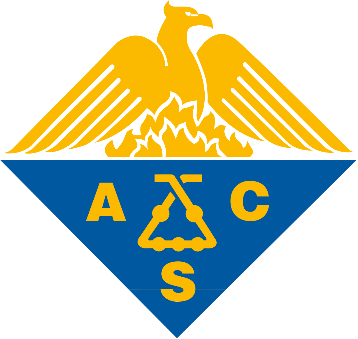ACS Capítulo Colombia